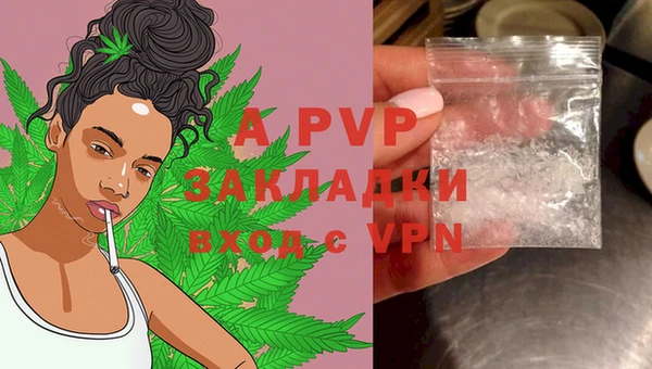 дмт Аркадак