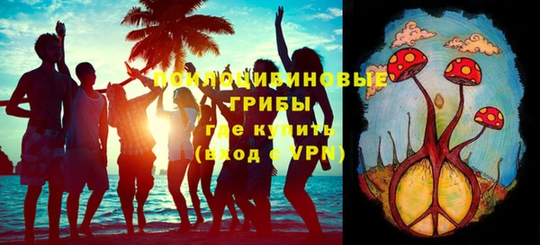 дмт Аркадак