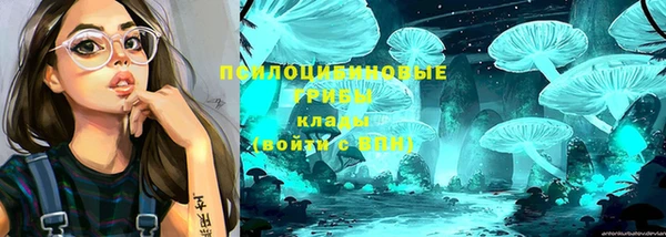 дмт Аркадак