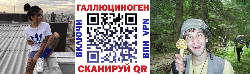 купить закладку  Приморско-Ахтарск  Галлюциногенные грибы мицелий 